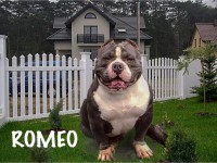 ROMEO